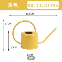 亚马逊热销轻奢创意洒壶园林植物复古不锈钢淋花浇水壶