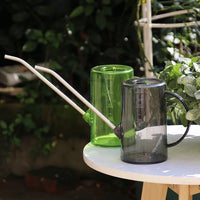 Stainless Steel Long Spout Watering Can with Transparent Body, 1L