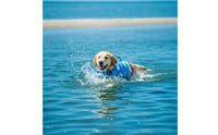 Adjustable Dog Life Jacket with Rescue Handle Secure Dog Life Jacket with D-Attachment High-Buoyancy Lightweight for Young Dogs
