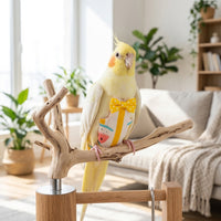 Parrot Nappy Bird Diaper with Fruit Pattern, Paper Bird Nappy and Bird Waste Bag, Adjustable Bird Hygiene for Parakeet Cockatiel and Budgies