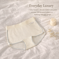Womens Underwear Boy Shorts with Lining, Ladies Breathable Boyshorts for Daily Wear, Anti Chafing Coverage