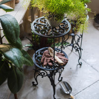 Cast Iron Plant Stand with Classical Pattern