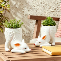 Wild Canine Planter Decorative Design Garden Decor Gift Idea for Patio, Balcony