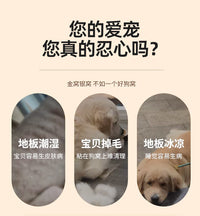 狗狗行军床四季通用离地狗窝大透气夏季宠物狗垫折叠小型犬宠物床
