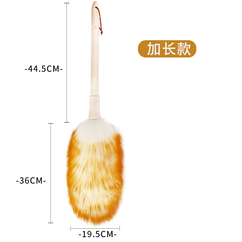 Xl