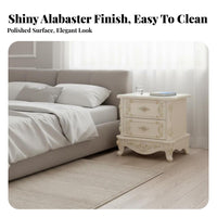 2-Drawer End Cabinet Lacquered Finish Nightstand Simple for Renters, Students