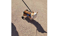 Lightweight Design Hind Leg Dog Wheelchair Allows Pet to Relieve Itself Adjustable Dog Wheelchair for Disabled Pets