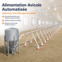 Automatic chicken feed dispenser, galvanized steel, pest-proof, for poultry and rural owners