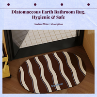 Diatom Mud Bath Mat quick-dry