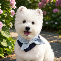 Dog Bandana, Pointed Bib Dog Scarf with Decorative Knot, Universal Pet Handkerchief universal Seasons, Plaid Design