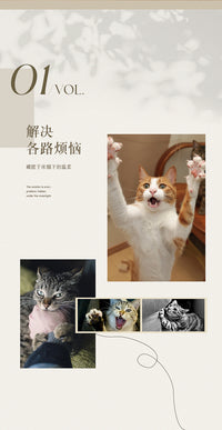 猫抓板猫咪沙发不掉屑贵妃椅床榻猫窝防猫抓沙发立式磨爪器猫玩具