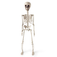 Simulated Skeleton Realistic Bones Halloween Skeleton Decor Creamy White Finish for Spooky-House Party