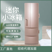 Mini USB Car Refrigerator for Beverages, 5L Capacity