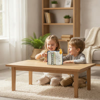 Book-Shaped Planter Indoor Tabletop Planter Cute for Bookshelf, Windowsill