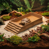Tortoise Water Dish with Ramp Food-Grade Material Turtle Bathing Basin