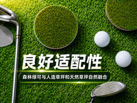 Grearth 201 Stainless Steel Golf Cup Lid for Green Hole