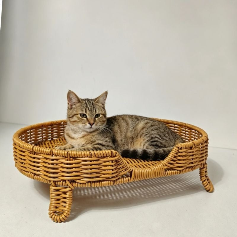 Vintage Rattan Cat Bed with Hanging Hammock - Summer Cooling Mat for Cats