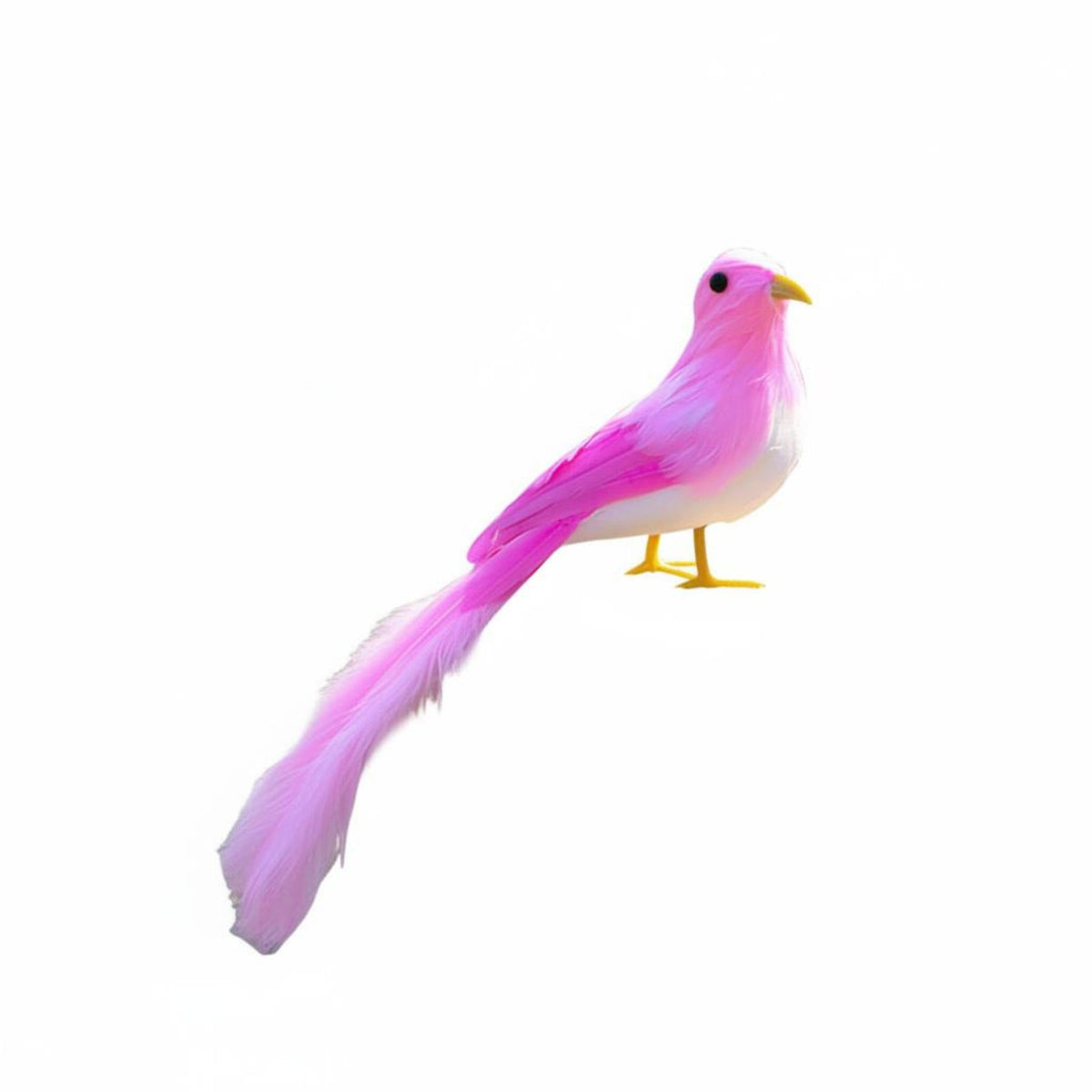 Colorful Design Long-Tailed Bird Ornament Photo Prop Phoenix Bird Decoration Feathered Home Decor Lifelike for Living Room