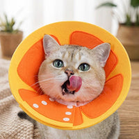Cat Cone Neck Cone with Adjustable Elizabethan Strap, Felt Elizabethan Neck for Cat Recovery, Post Surgery Pet Stop Licking Anti Bite