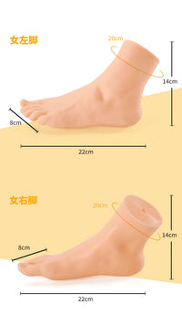 仿真脚模塑料哑光空心加厚硬款女脚模搪胶足模短袜模拖鞋展示假脚