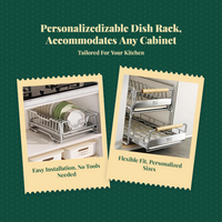 Stainless Steel Pull-Out Dish Rack
