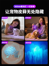 奥克斯伍德氏猫藓灯365nm紫光灯猫尿紫外线手电筒检查宠物专用uv