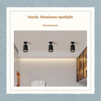 Dimmable LED COB ceiling spotlight