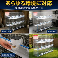 Bird Breeder Bird Cage Welded Wire Mesh 3-Tier 12 Compartments Galvanized Steel Wire 200x55x150cm Large For Pigeon Enthusiasts Breeding