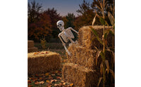Articulated Skeleton with Movable Joints Halloween Poseable Skeleton Full Body Prop Bendable for Haunted House, Yard
