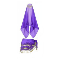 4 Pieces Sequin Details Fortune Teller Costume Kit Performance Wear Romani-Inspired Costume Accessories Lightweight Chiffon Coin Hip Scarf and Veil Set for Dancers, Women, Themed Party, Halloween, Cosplay