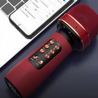 Mic Voice Changer Vocal Performance Sound Quality Versatile Combo Vocal Performance Mic