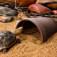 Land Turtle Ceramic Hiding Spot, Natural Breathing Reptile Shelter, for Terrarium, Brown