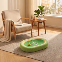 Soccer Field Cat Scratcher Indoor Cat Scratcher with Toy Ball   Pet Supply Cats