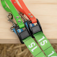 Numbered Equine Reins Wear-Resistant Horse Rein Harness for Beginners