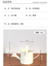 糖果色迷你洒水壶创意装饰铁皮花盆可爱小水壶儿童玩具铁艺花洒