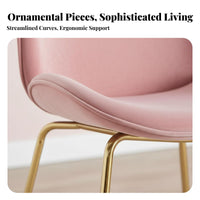 Beetledesign Chair Nordic Design Home Seating Shell-Shaped Seat for Hotel, Women