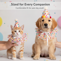 Pet Birthday Bandana and Hat Set for Cats and Dogs - Photo Prop and Decorative Collar