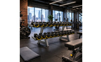 Two-Tier 10-Pair Dumbbell Rack Saddled Cradles Double-Layer Dumbbell Rack Angled Legs Fitness Storage Metal