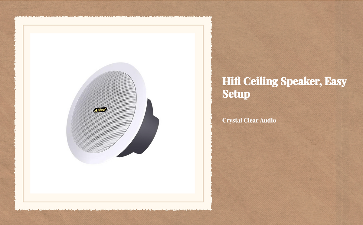 Ceiling stereo speaker for home use