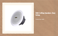 Ceiling stereo speaker for home use