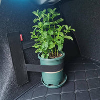 Car Trunk Elastic Strap Multi-Functional Trunk Organizer Strap