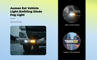 Auman EST LED fog light, aluminum