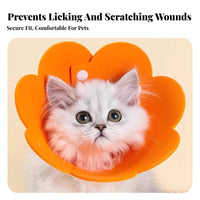 Flower Elizabethan Lightweight Flower Shape Pet C Single Easy to Easy to Maintain Gentle Elizabethan for Cats, Small Dogs, Post-Surgery Recovery
