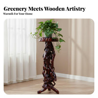 Natural Design Carved Root Stool Rustic Design Plant Stand Traditional Craftsmanship Display Pedestal Decorative for Bonsai Enthusiasts, Home Decorators, Art Collectors, Living Room, Balcony, Entryway, Bedroom