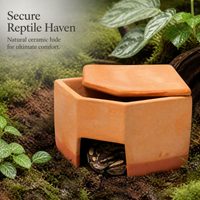 Reptile Ceramic Humidifying Hideaway Cave for Lizards, Snakes, and Spiders