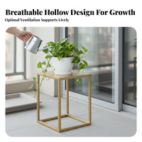 Single-Tier Pot Stool Minimalist design aesthetic Plant Stand Space-Saving for Living Room