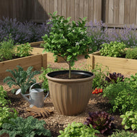 Deep Roman Design Planter Drainage Base Classic Roman Flower Pot for Patio