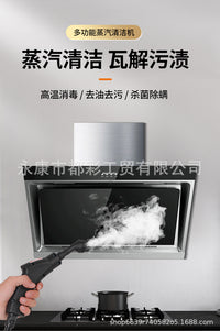 220V/110V 2500W High-Temperature High-Pressure Steam Cleaner with 1200ml Tank (US Plug)