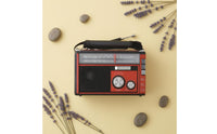 Telescopic Antenna Portable AM and Frequency Modulation AM/FM/SW Radio a and C Powered AM and Frequency Modulation Shortwave Radio