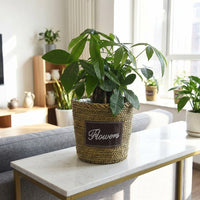 Indoor Plants Seagrass Woven Basket with Liner, Vintage Style Indoor Plant Pot for Home Decor, Hand Woven Storage Basket, 1 Pack Plant Basket